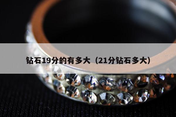 钻石19分的有多大 21分钻石多大