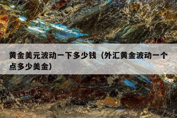 黄金美元波动一下多少钱 外汇黄金波动一个点多少美金