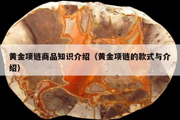 黄金项链商品知识介绍 黄金项链的款式与介绍