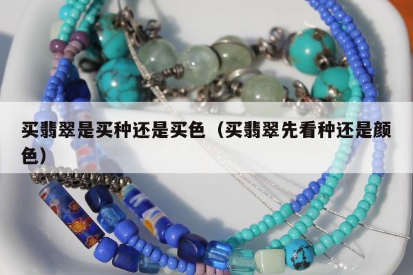 买翡翠是买种还是买色 买翡翠先看种还是颜色