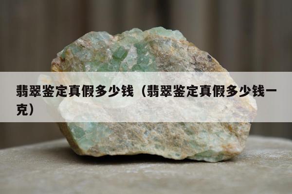 翡翠鉴定真假多少钱 翡翠鉴定真假多少钱一克