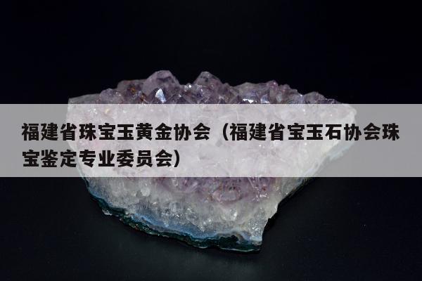 福建省珠宝玉黄金协会 福建省宝玉石协会珠宝鉴定专业委员会