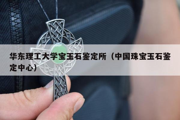 华东理工大学宝玉石鉴定所 中国珠宝玉石鉴定中心