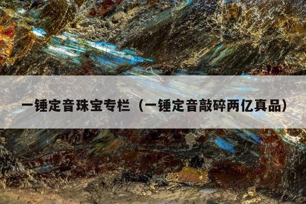 一锤定音珠宝专栏 一锤定音敲碎两亿真品