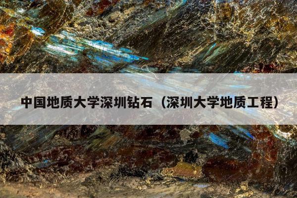 中国地质大学深圳钻石 深圳大学地质工程