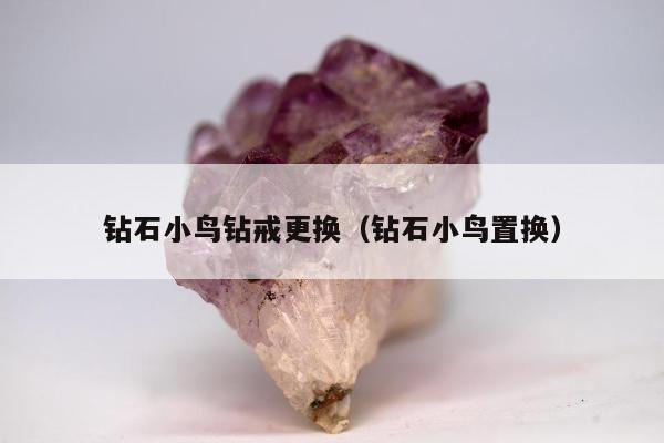 钻石小鸟钻戒更换 钻石小鸟置换