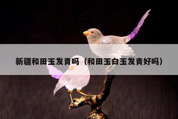 新疆和田玉发青吗 和田玉白玉发青好吗