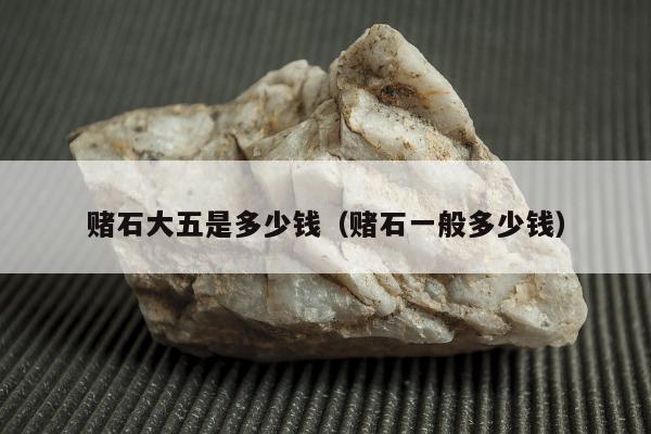 赌石大五是多少钱 赌石一般多少钱