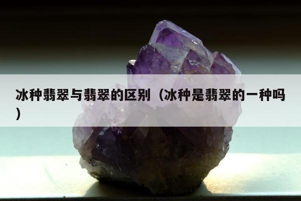 冰种翡翠与翡翠的区别 冰种是翡翠的一种吗