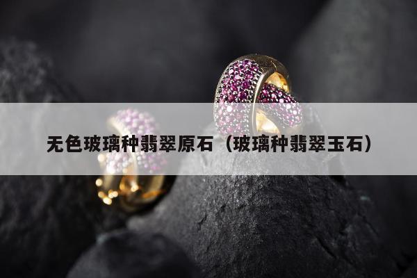 无色玻璃种翡翠原石 玻璃种翡翠玉石 无色玻璃种翡翠原石 玻璃种翡翠玉石