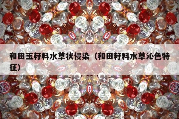 和田玉籽料水草状侵染 和田籽料水草沁色特征