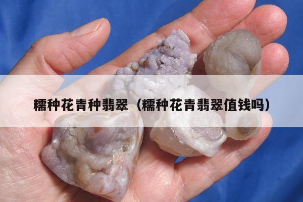 糯种花青种翡翠 糯种花青翡翠值钱吗