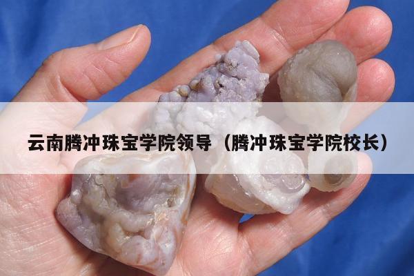 云南腾冲珠宝学院领导 腾冲珠宝学院校长
