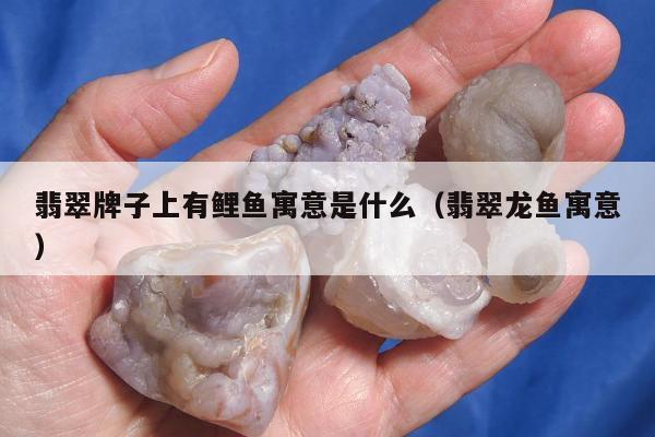 翡翠牌子上有鲤鱼寓意是什么 翡翠龙鱼寓意