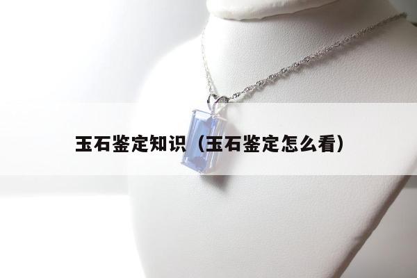 玉石鉴定知识 玉石鉴定怎么看