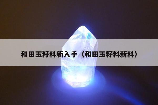 和田玉籽料新入手 和田玉籽料新料