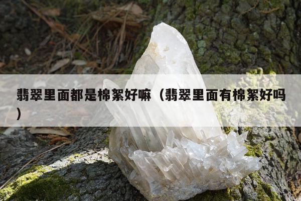 翡翠里面都是棉絮好嘛 翡翠里面有棉絮好吗