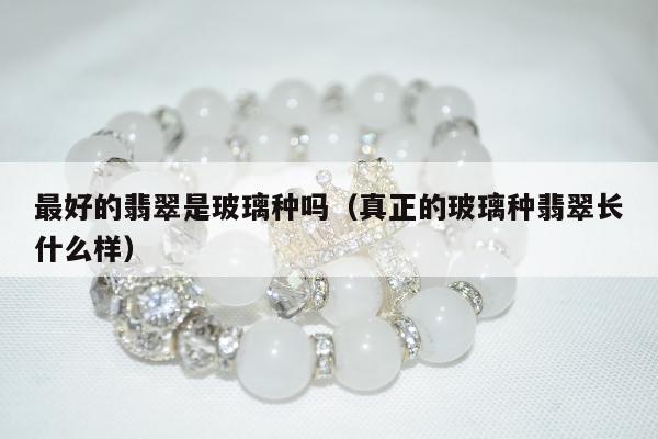 最好的翡翠是玻璃种吗 真正的玻璃种翡翠长什么样