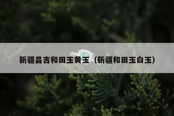 新疆昌吉和田玉黄玉 新疆和田玉白玉