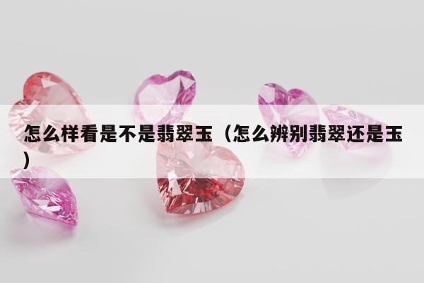怎么样看是不是翡翠玉 怎么辨别翡翠还是玉