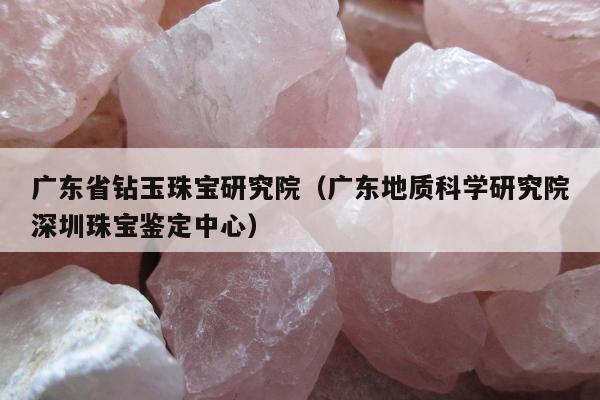 广东省钻玉珠宝研究院 广东地质科学研究院深圳珠宝鉴定中心