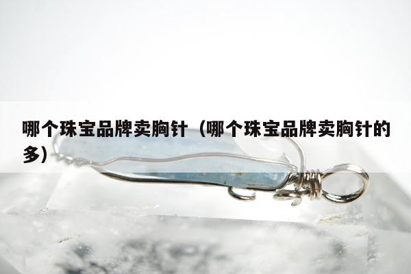 哪个珠宝品牌卖胸针 哪个珠宝品牌卖胸针的多