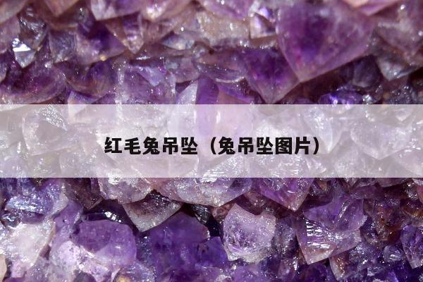 红毛兔吊坠 兔吊坠图片