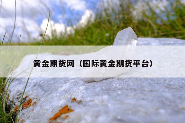 黄金期货网 国际黄金期货平台