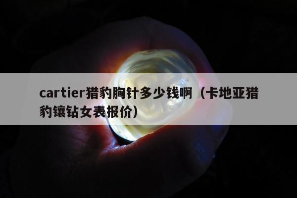 cartier猎豹胸针多少钱啊 卡地亚猎豹镶钻女表报价