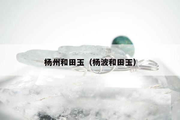 杨州和田玉 杨波和田玉