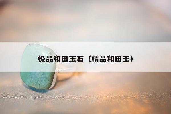 极品和田玉石 精品和田玉