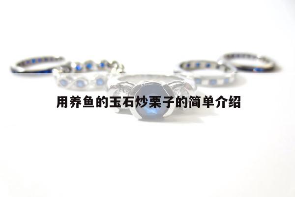 用养鱼的玉石炒栗子的简单介绍