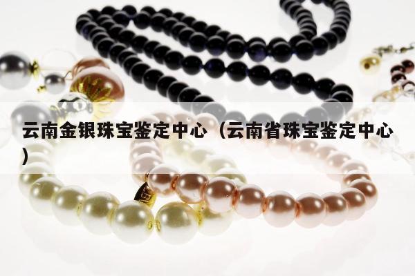 云南金银珠宝鉴定中心 云南省珠宝鉴定中心