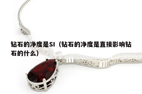钻石的净度是SI 钻石的净度是直接影响钻石的什么