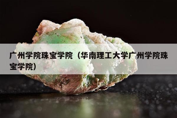广州学院珠宝学院 华南理工大学广州学院珠宝学院