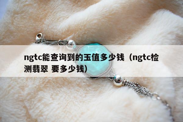 ngtc能查询到的玉值多少钱 ngtc检测翡翠 要多少钱