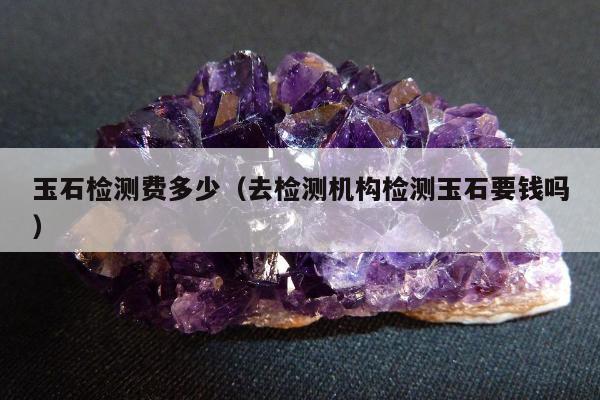 玉石检测费多少（去检测机构检测玉石要钱吗）