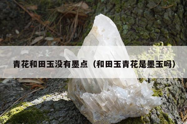 青花和田玉没有墨点（和田玉青花是墨玉吗）