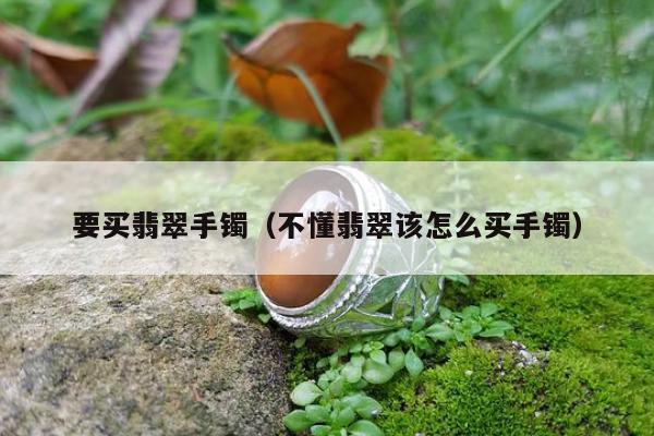 要买翡翠手镯（不懂翡翠该怎么买手镯）