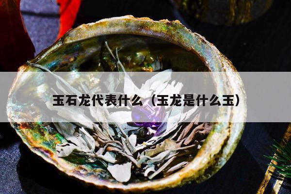 玉石龙代表什么（玉龙是什么玉）