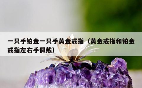 一只手铂金一只手黄金戒指（黄金戒指和铂金戒指左右手佩戴）
