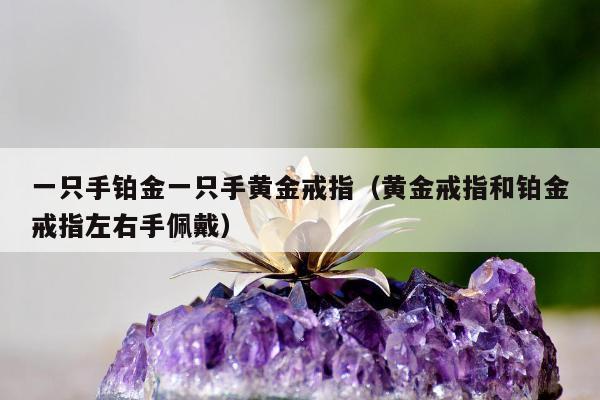 一只手铂金一只手黄金戒指（黄金戒指和铂金戒指左右手佩戴）