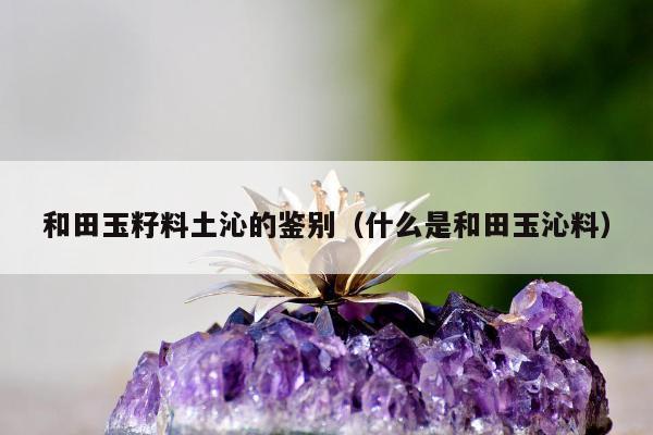 和田玉籽料土沁的鉴别（什么是和田玉沁料）