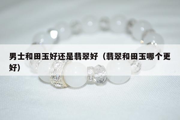 男士和田玉好还是翡翠好（翡翠和田玉哪个更好）