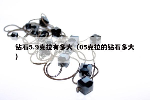 钻石5.9克拉有多大（05克拉的钻石多大）