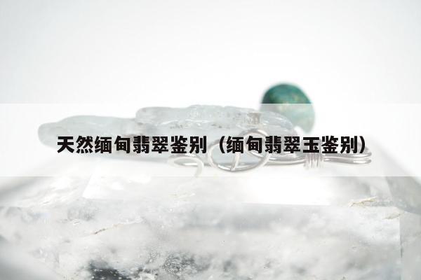 天然缅甸翡翠鉴别（缅甸翡翠玉鉴别）