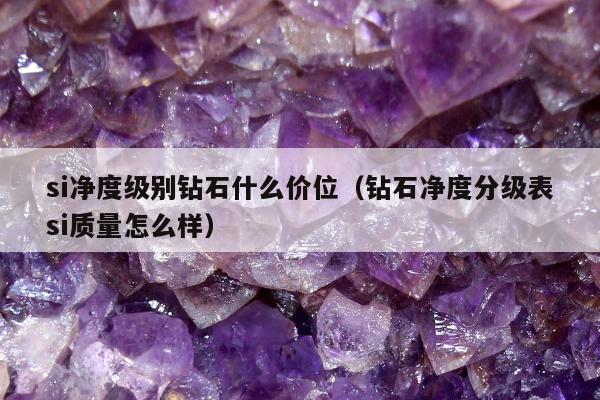 si净度级别钻石什么价位（钻石净度分级表si质量怎么样）