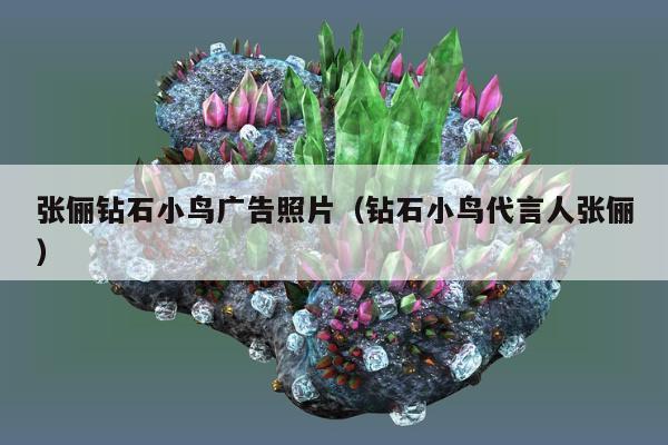 张俪钻石小鸟广告照片（钻石小鸟代言人张俪）