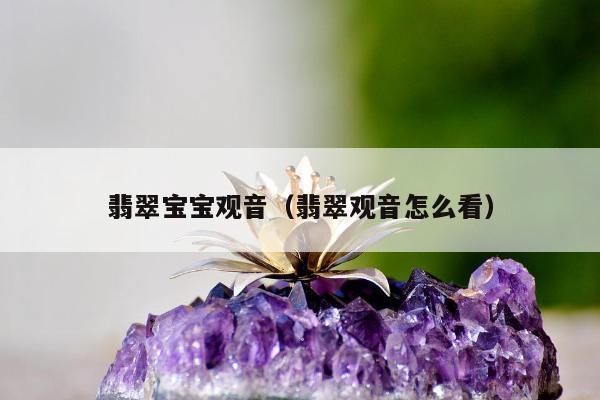 翡翠宝宝观音（翡翠观音怎么看）