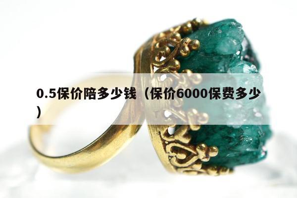 .5保价陪多少钱（保价6000保费多少）"